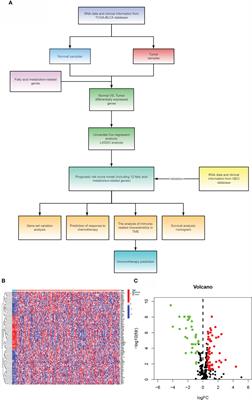 Evaluation of aliphatic acid metabolism in bladder cancer with the goal of guiding therapeutic treatment